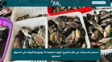 أسعار الأسماك في كفر الشيخ اليوم الجمعة 25 يوليو وتأثيرها على السوق المحلية